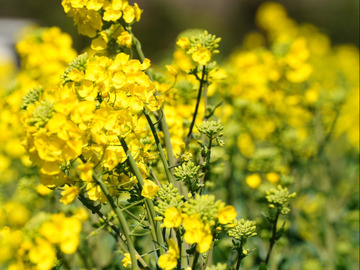 有限会社あぐりサービス-6