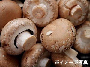 兵庫県三木市・兵庫県小野市×露地野菜/法人【42166】-top