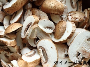 兵庫県三木市・兵庫県小野市×露地野菜/法人【42166】-2