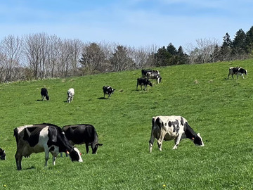 片野牧場(釧路町)-1