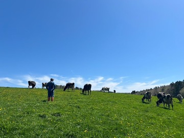 片野牧場(釧路町)-8