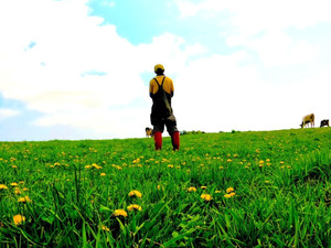 片野牧場(釧路町)-top