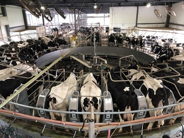 株式会社竹信牧場-4