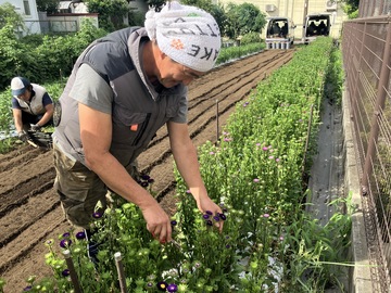 間鍋園芸-6