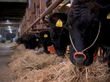 下川原農事組合法人-1