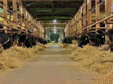 下川原農事組合法人-5