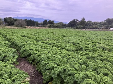 有機農園power of plants-3