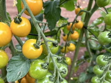 有限会社ウイングクリエーション-2