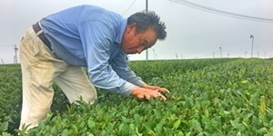 有限会社ヤマセン