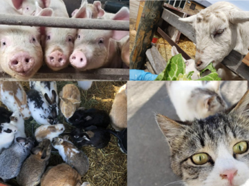 株式会社オホーツクファーム喜多牧場-4