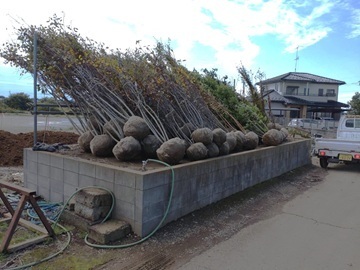 株式会社倉持グリーン-6