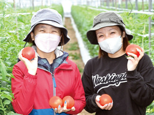 宮崎グリーンファーム合同会社-top