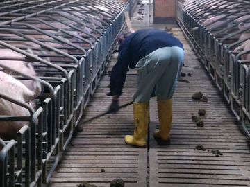 株式会社大矢-3