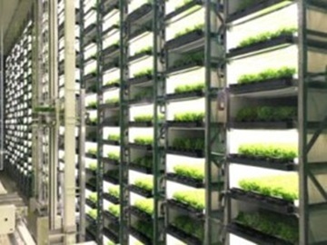 合同会社TSUNAGU Community Farm-4