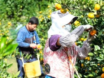 株式会社YAMASHIN-1