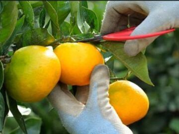 株式会社YAMASHIN-2