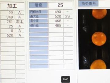 株式会社YAMASHIN-5