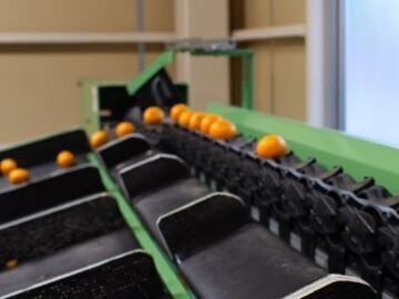 株式会社YAMASHIN-6