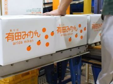 株式会社YAMASHIN-8