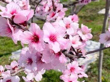 リッキーランド-3