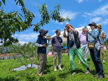 リッキーランド-6