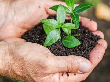 リッキーランド-7