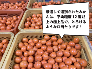 株式会社村上農園(愛媛)-6