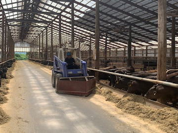 大原牧場有限会社-7