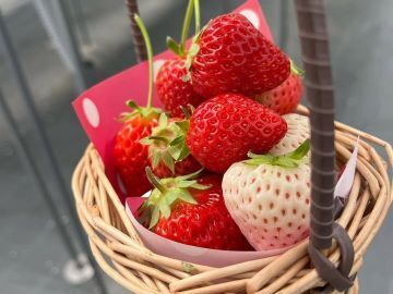 株式会社NewBerry-2