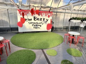 株式会社NewBerry-3