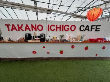 株式会社NewBerry-8