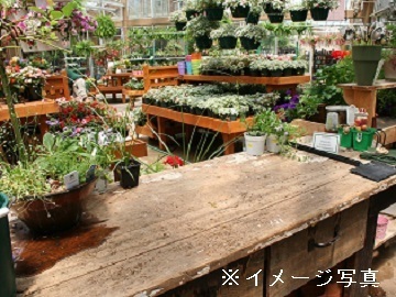 神奈川県横浜市×園芸資材営業/法人【42216】-1