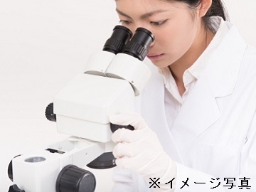 静岡県菊川市×品種開発サポート/法人【42217】-1