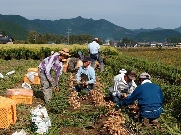 JA高知県四万十無料職業紹介所