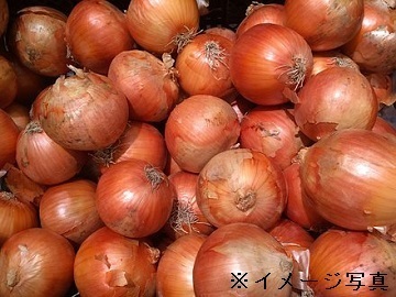 北海道千歳市×露地野菜/法人【42220】-1