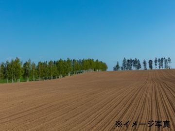 北海道千歳市×露地野菜/法人【42220】-2