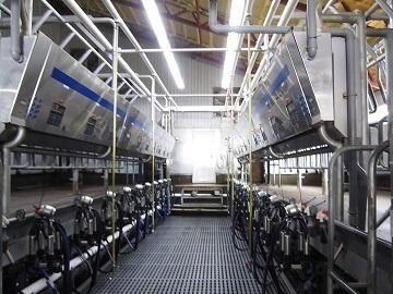 有限会社アンビシャス-2