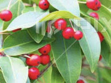 株式会社倉持グリーン-4