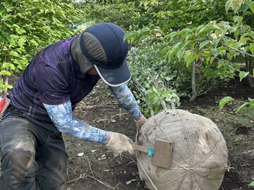 株式会社倉持グリーン-2