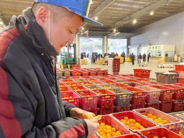 有限会社マル南フルーツ-3