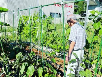 有限会社マル南フルーツ-6