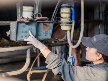 株式会社KIMIJIMA DAIRY FARM-3