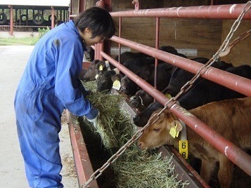 株式会社松永牧場-1