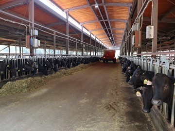 株式会社松永牧場-2