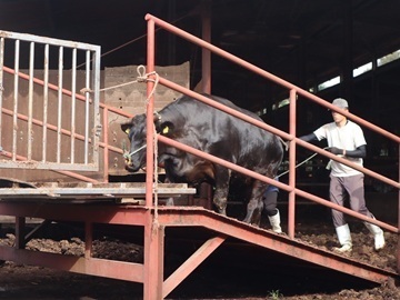 株式会社松永牧場-6