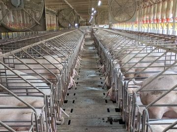 有限会社白石畜産農場-1