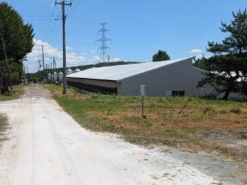 有限会社白石畜産農場-2