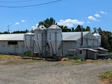 有限会社白石畜産農場-6