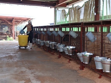 株式会社メイプル牧場-1