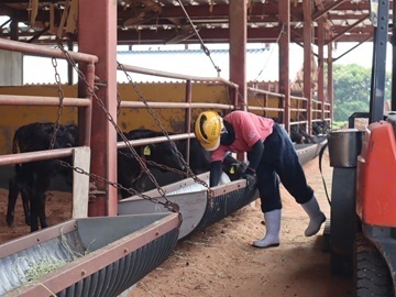 株式会社メイプル牧場-2